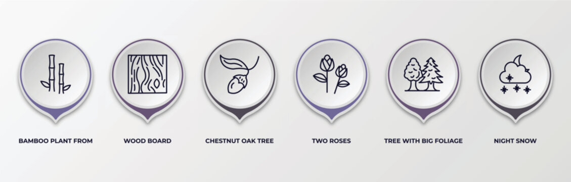 infographic template with outline icons. infographic for nature concept. included bamboo plant from japan, wood board, chestnut oak tree, two roses, tree with big foliage, night snow editable