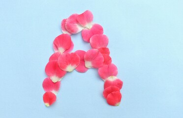 A Capital English Letter Created with Pink Rose Flower Petals on Bright Background in Horizontal Orientation, English Alphabet