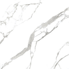 ATLANTIC WHITE marble design with grey vines high resolution marble design texture use for wall tiles and wall paper