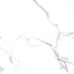 white STATUARIO marble design use for wall tiles and wall paper natural marble design and vines high resolution marble