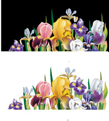 Banners with Iris flowers