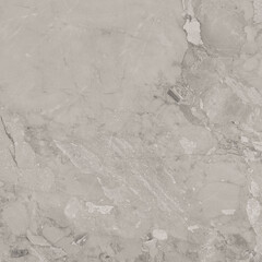 ANGAR GREY tiles with natural vines high resolution marble texture design image use for wall tiles and wall paper 