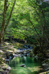 三重-【赤目四十八滝（新緑）】