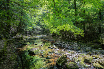 三重-【赤目四十八滝（新緑）】