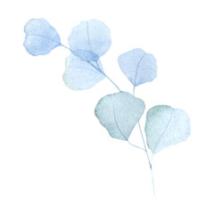 Watercolor blue branches with leaves. Greenery leaf hand-painted isolated. Can be used as being an element in the decorative design of invitation, wedding or greeting cards.