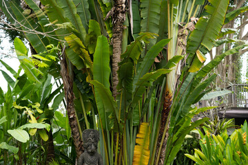 Fototapeta premium ganesha sculptures in palm tree