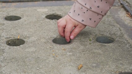 Poor Caucasian Baby Toddler Playing on Street without Toys Throwing Birch Tree Catkins Seeds into...