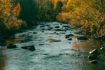 Lenaelva River in autumn. Toten, Oppland, Norway. Cinematic version.