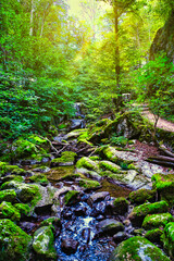 Natur Schlucht Schweiz