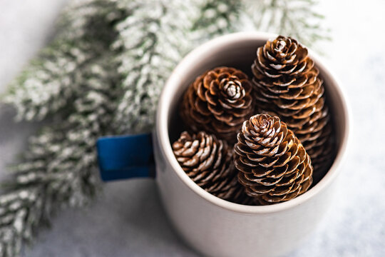 Overhead view of pinecones in a ceramic mug next to a fir branch covered in fake snow