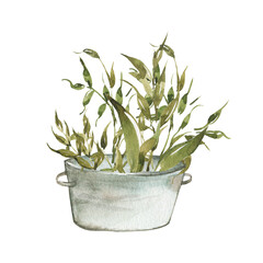 Eco Village, Illustration Set, Watercolor, Cow, Coop, Chickens, Cereals, Apples, Harvest, Greens, Autumn Set, Village, Houseplants, Village Life