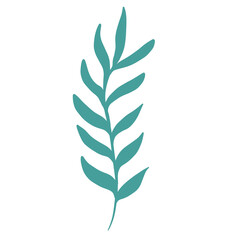 Fototapeta premium florals and leaves for decoration 
