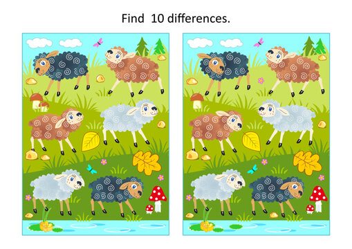 Difference game with sheep grazing at the pasture
