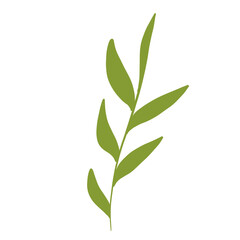 florals and leaves for decoration 