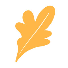 florals and leaves for decoration 