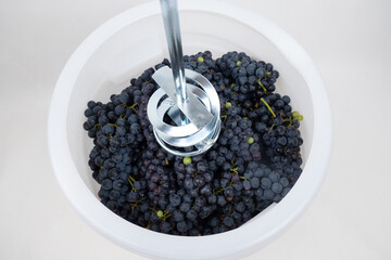 whipping dark blue grapes with a mixer in a barrel, the process of making homemade wine