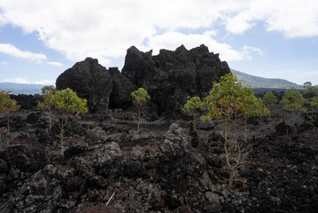 Batur volcano view
black lava stones
beautiful view on mountain
volcano  landscapes
Bali Indonesia
Kintamani 
