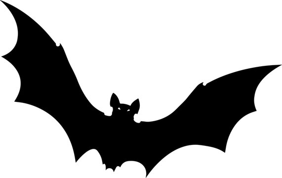 Bat vector for Halloween decoration