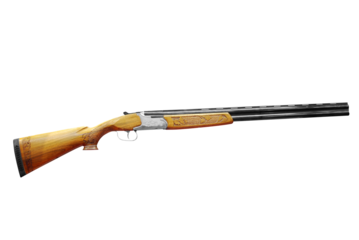 shotgun transparent