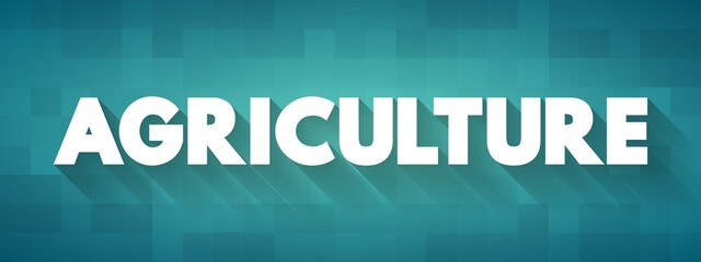 Agriculture is the practice of cultivating plants and livestock, text concept for presentations and reports