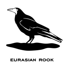 Eurasian rook logo isolated on white background. Bird sign. Eurasian rook silhouette. Minimalist bird icon vector illustration