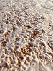 Waves on the beach