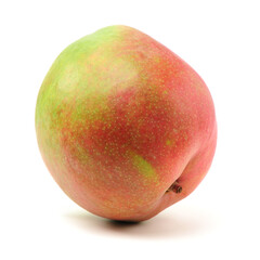 Australian Mango on a white background