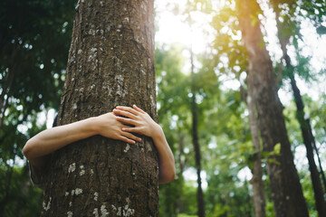 young woman tree hugging  in the forest  in concept of people love nature and  tree to protect from deforestation and pollution or climate change - obrazy, fototapety, plakaty