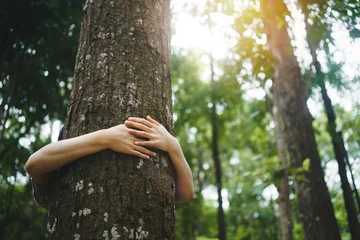 Foto op Plexiglas young woman tree hugging  in the forest  in concept of people love nature and  tree to protect from deforestation and pollution or climate change © Deemerwha studio