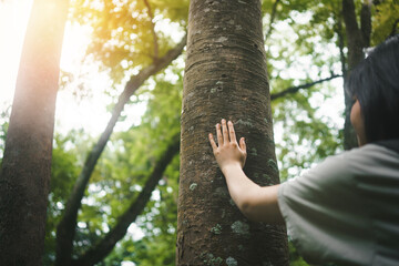 Human hand or young woman touching tree in the forest  in concept of people love nature and  tree...