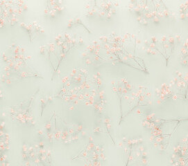 Beautiful flower background of pink gypsophila flowers. Flat lay, top view. Floral pattern.