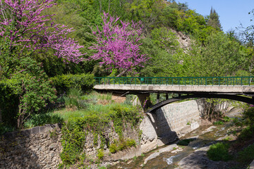 A bridge across the river among flowering trees in the Tbilisi Botanical Garden. Georgia country