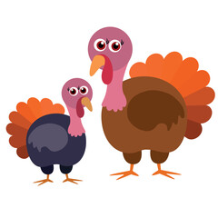 Turkey bird, flat, vector illustration
