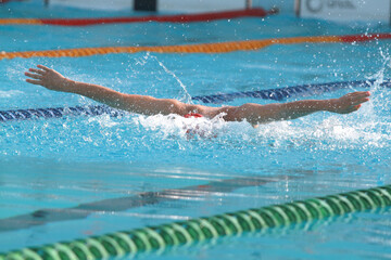 Swimmer swim butterfly in swimming pool for race