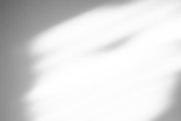 Window shadow drop on white wall background