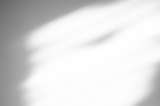 Window shadow drop on white wall background