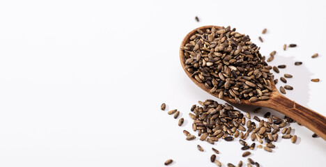 Thistle seeds in a wooden spoon on a white background, banner, place for text