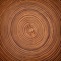 Fototapeta na wymiar cross-sectional wood texture with a pattern of annual rings. old tree stump background
