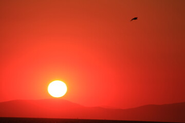 sunset over the sea