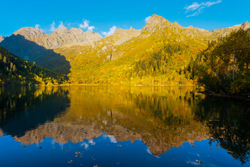 Fototapeta na wymiar Beautiful autumn landscape. Birches with yellow foliage on the shore of a mountain lake