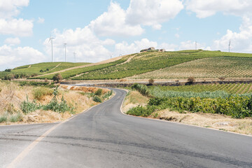 Landscape on the road surrounded by vineyards in marsala, Sicily