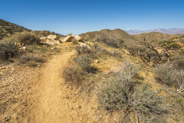 hiking the west side loop trail in black rock canyon, joshua tree national park, usa