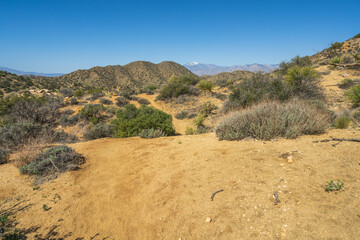 hiking the west side loop trail in black rock canyon, joshua tree national park, usa