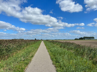 Obraz premium Bicycle path around Oudega