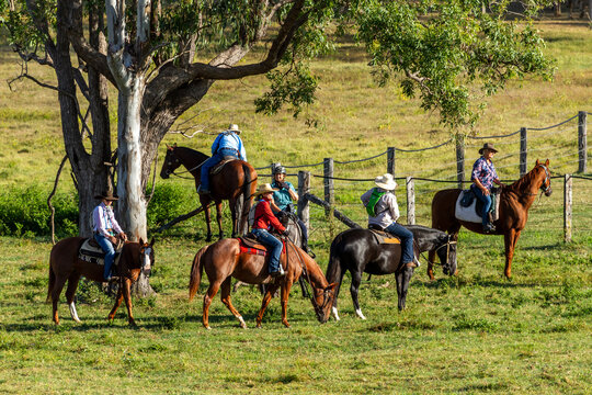 Six horse riders waiting under a tree.