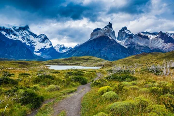 Foto op Plexiglas Cuernos del Paine Nationaal Park Torres del Paine, Patagonië, Chili