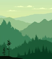 forest in the mountains © Sergey