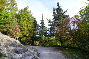 Wooded Pathway to Bagni di San Filipa in Italy