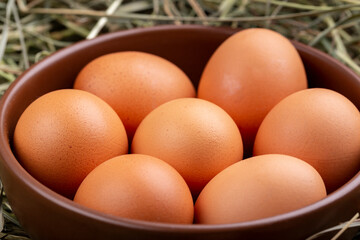 Brown chicken eggs in a bowl on a background of hay. A pair of eggs lies on the hay.
