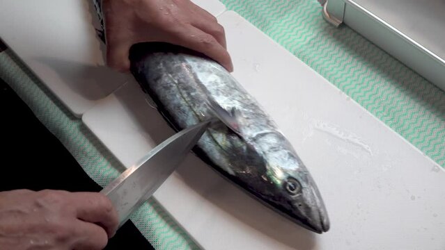 寿司職人が柳刃包丁を使い、新鮮なサワラの身を鮮やかに下ろす手元のアップ。和食店のプロモーション、職人技の紹介、魚介料理のシズル感を伝える広告用素材に。 | A sushi chef filleting a fresh Spanish mackerel (Sawara) with a traditional Yanagiba knife.